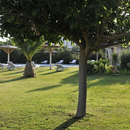 Ammos Naxos Exclusive Apartments & Studios Naxos City Esterno foto