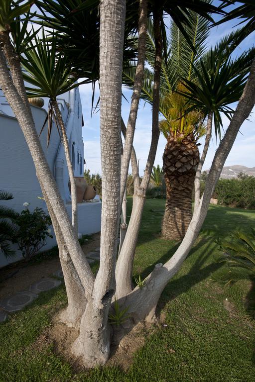 Ammos Naxos Exclusive Apartments & Studios Naxos City Esterno foto