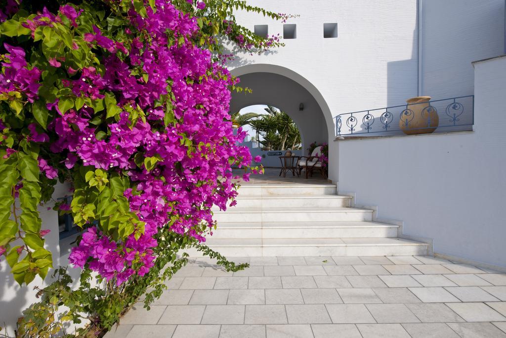 Ammos Naxos Exclusive Apartments & Studios Naxos City Esterno foto